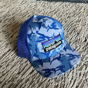 Patagonia Hat